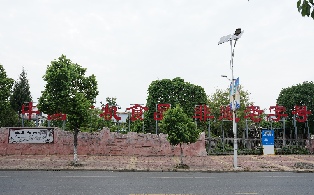當(dāng)定制葛粉時(shí)，我們真正在選擇什么？